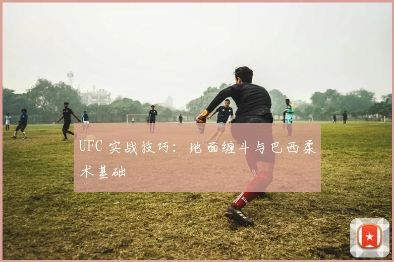 UFC 实战技巧：地面缠斗与巴西柔术基础