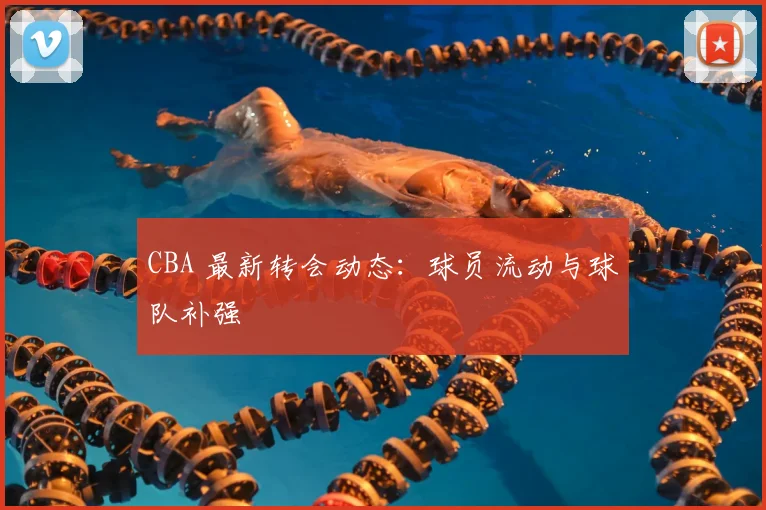 CBA 最新转会动态：球员流动与球队补强