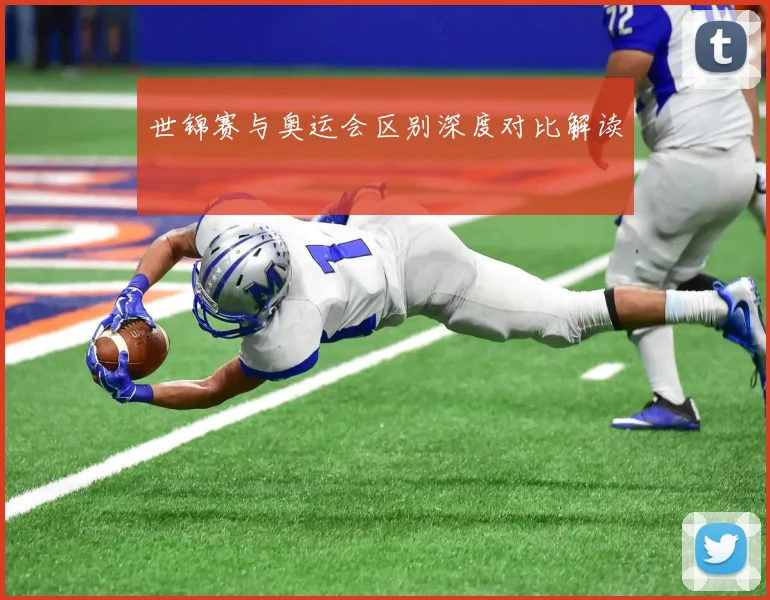 世锦赛与奥运会区别深度对比解读